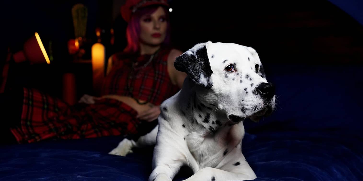 dog and lady on a bed