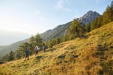 Uncover the best hiking trails in Innsbruck with stunning views and culinary delights for all skill levels.