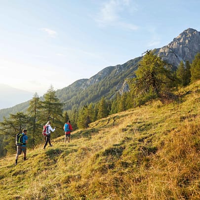 Uncover the best hiking trails in Innsbruck with stunning views and culinary delights for all skill levels.